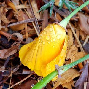 Offers Welcome! Please Feel Free To Reach Out